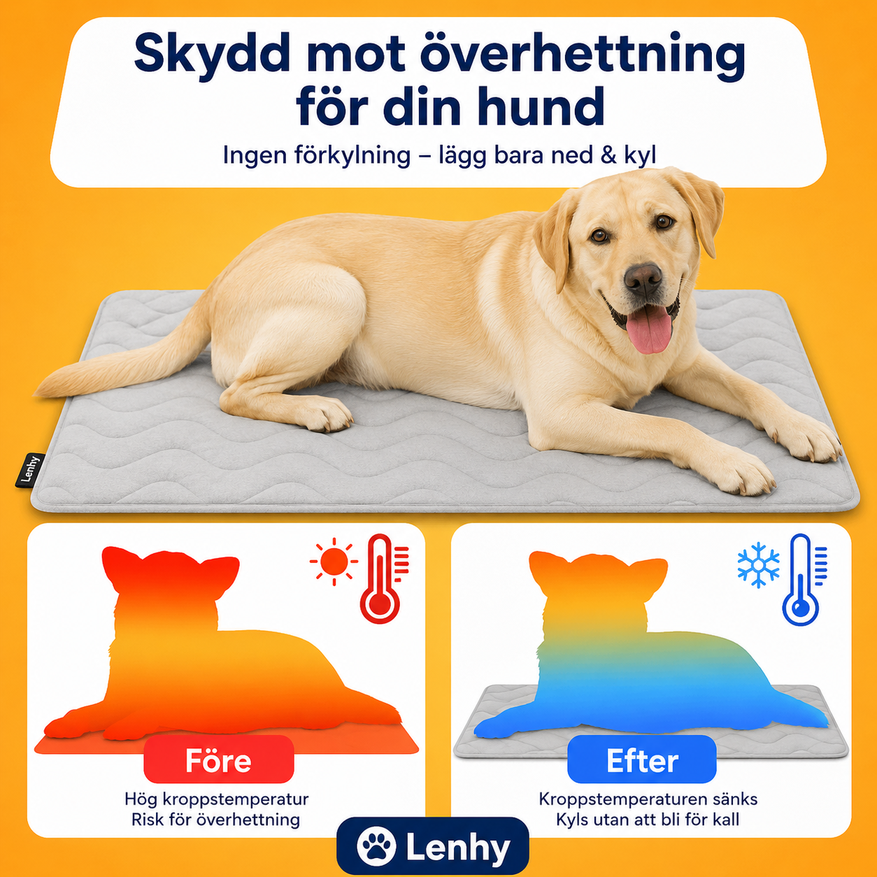 Lenhy™ - Kylmatta