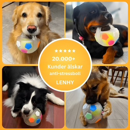 Lenhy™ - Anti-stress bollen