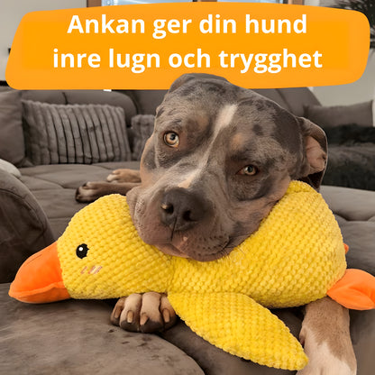 Lenhy™ - Anti-Stress anka