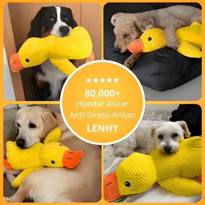 Lenhy™ - Anti-Stress anka