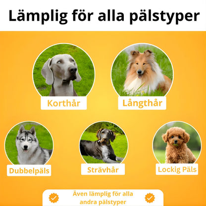 Lenhy™ - Hundborste